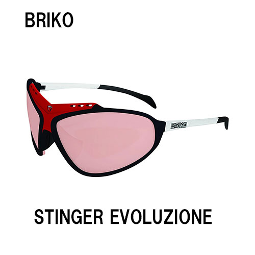 BRIKO STINGER