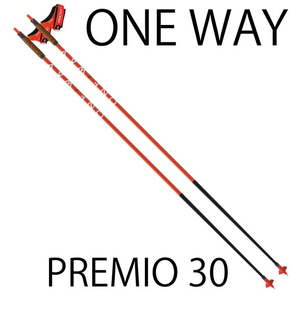 ちくわダイジンさま専用クロスカントリースキーONE WAY PREMIO 30 ...